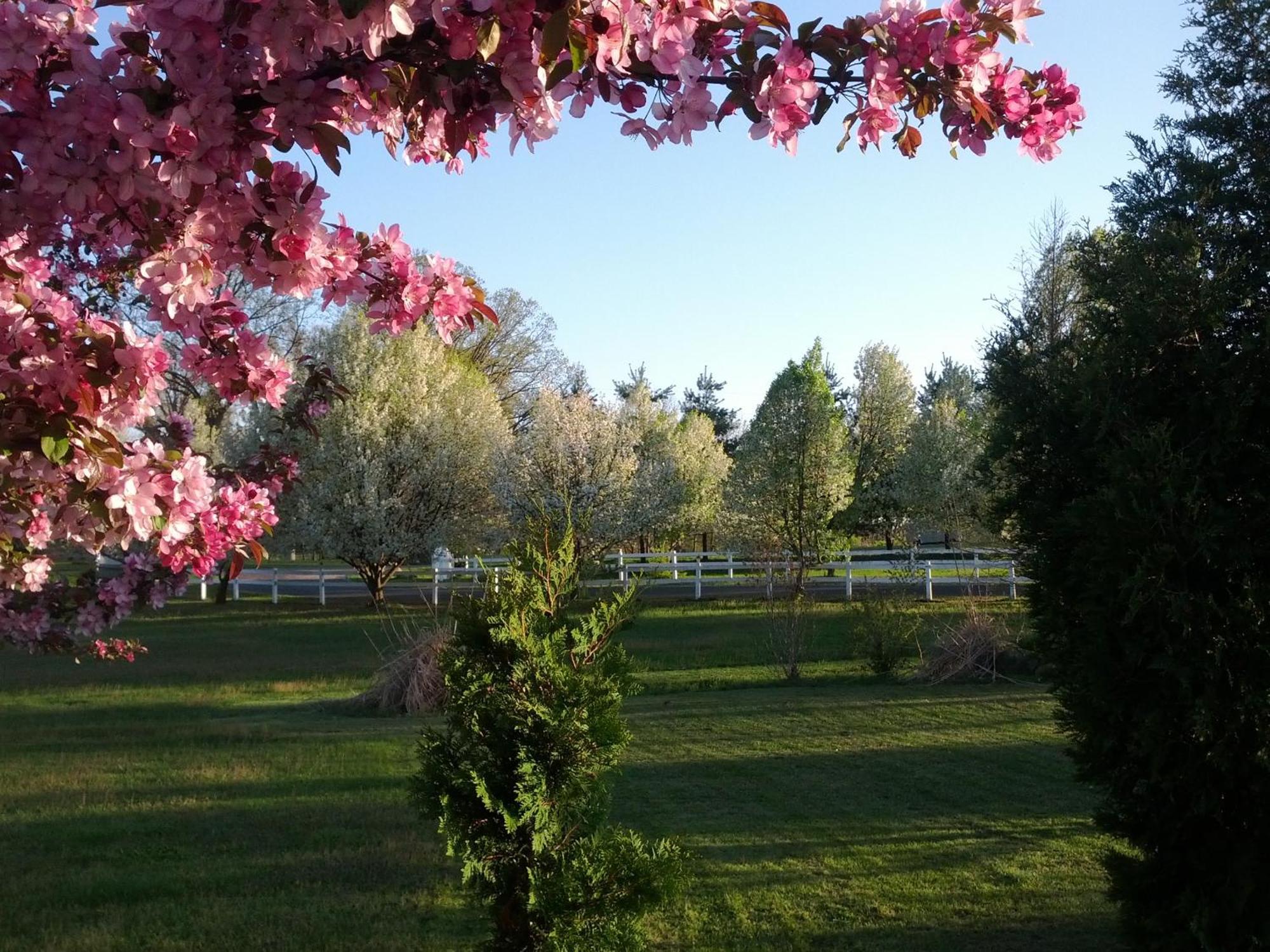Brook Pointe Syracuse